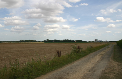 road and landscape